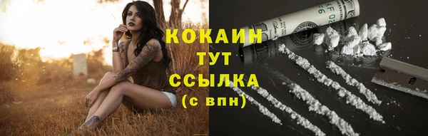 прущая мука Арсеньев