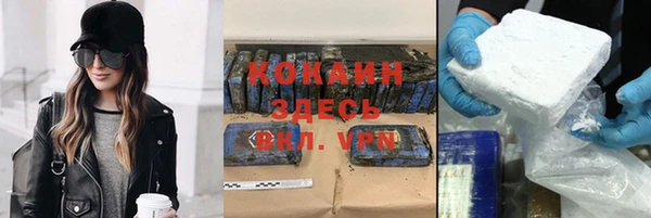 гашик Аркадак