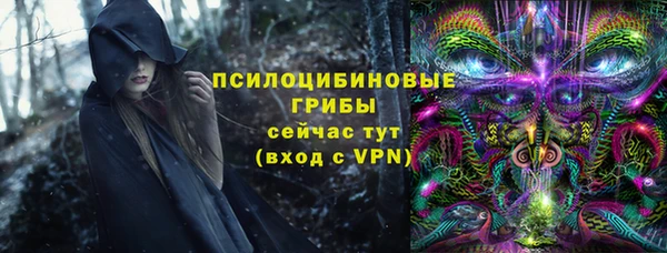 гашик Аркадак