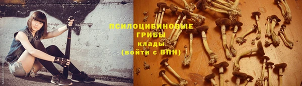 гашик Аркадак