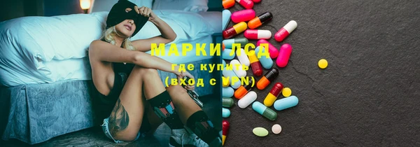 гашик Аркадак