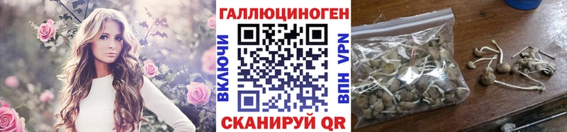 Псилоцибиновые грибы MAGIC MUSHROOMS  Купить закладки  Новая Ляля 